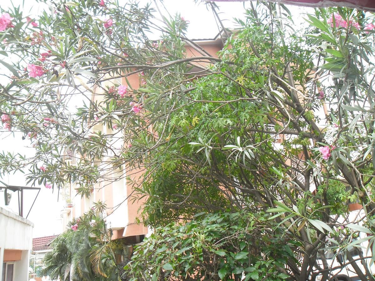 Hotel Vivi Palace Matadi Ngoại thất bức ảnh